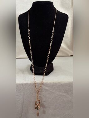 Target Gold-Tone Long Link Necklace with Charm Drops